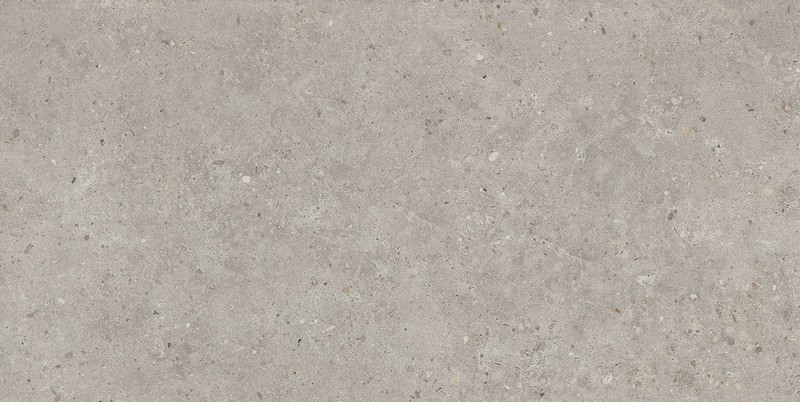 SG519920R Риккарди серый светлый матовый обрезной 60х119,5x0,9 керамогранит